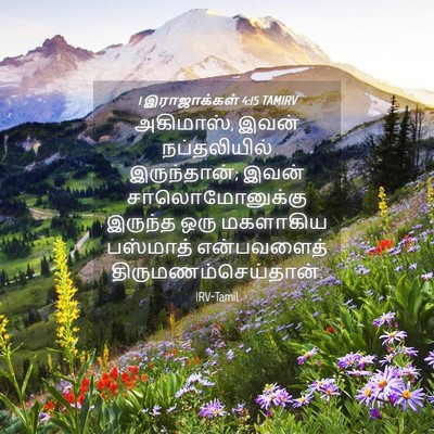 Picture 04 - 1 இராஜாக்கள் 4:15 TAMIRV - அகிமாஸ், இவன் - Bible Verse Picture