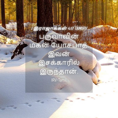 Picture 04 - 1 இராஜாக்கள் 4:17 TAMIRV - பருவாவின் மகன் - Bible Verse Picture