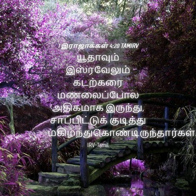 Picture 04 - 1 இராஜாக்கள் 4:20 TAMIRV - யூதாவும் - Bible Verse Picture