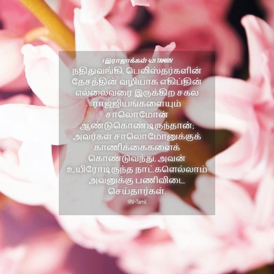 Picture 04 - 1 இராஜாக்கள் 4:21 TAMIRV - நதிதுவங்கி, - Bible Verse Picture