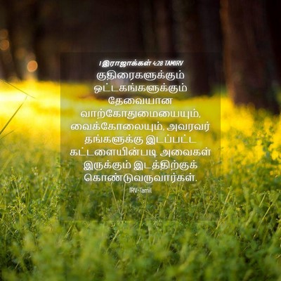 Picture 04 - 1 இராஜாக்கள் 4:28 TAMIRV - குதிரைகளுக்கும் - Bible Verse Picture