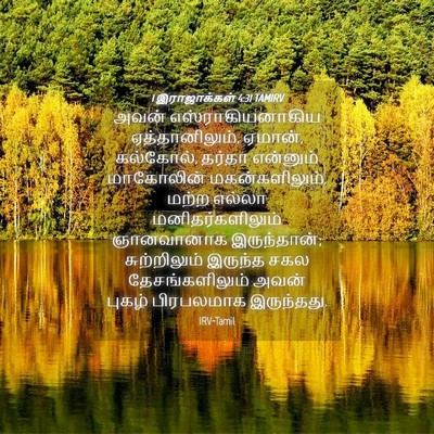 Picture 04 - 1 இராஜாக்கள் 4:31 TAMIRV - அவன் - Bible Verse Picture