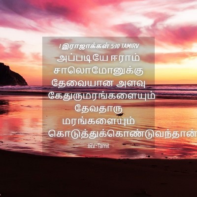 Picture 04 - 1 இராஜாக்கள் 5:10 TAMIRV - அப்படியே ஈராம் - Bible Verse Picture