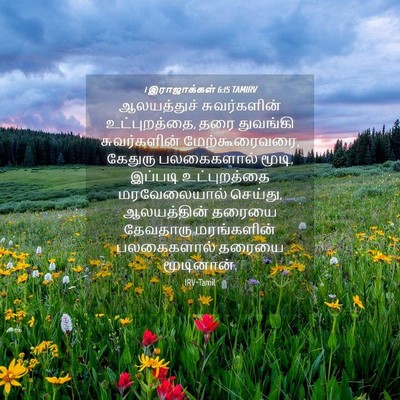 Picture 04 - 1 இராஜாக்கள் 6:15 TAMIRV - ஆலயத்துச் - Bible Verse Picture