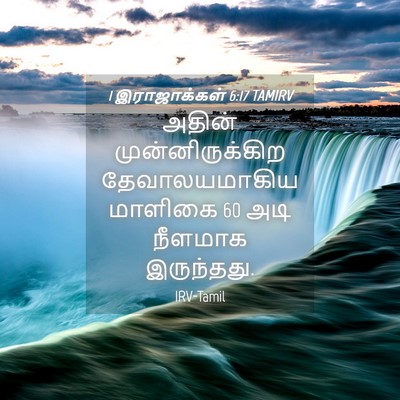 Picture 04 - 1 இராஜாக்கள் 6:17 TAMIRV - அதின் - Bible Verse Picture