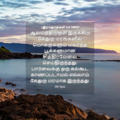 Picture 04 - 1 இராஜாக்கள் 6:18 TAMIRV - ஆலயத்திற்குள் - Bible Verse Picture
