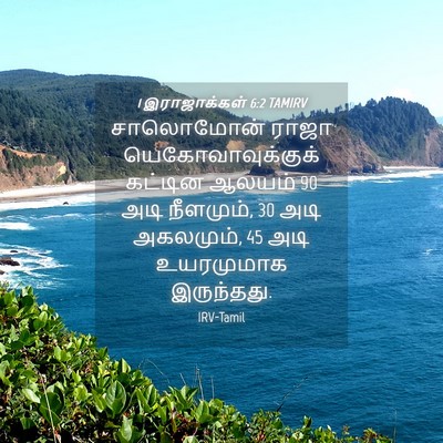 Picture 04 - 1 இராஜாக்கள் 6:2 TAMIRV - சாலொமோன் ராஜா - Bible Verse Picture