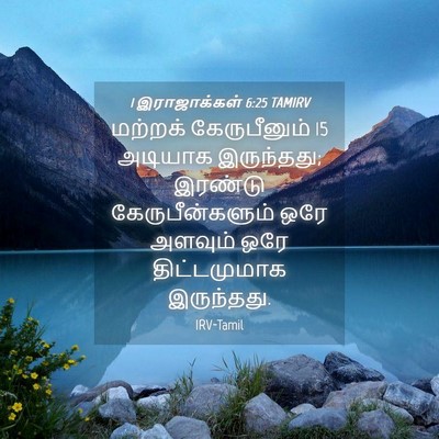 Picture 04 - 1 இராஜாக்கள் 6:25 TAMIRV - மற்றக் கேருபீனும் - Bible Verse Picture