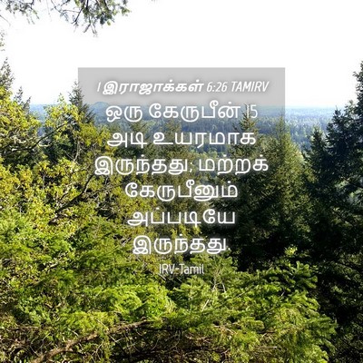 Picture 04 - 1 இராஜாக்கள் 6:26 TAMIRV - ஒரு கேருபீன் 15 அடி - Bible Verse Picture