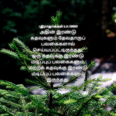 Picture 04 - 1 இராஜாக்கள் 6:34 TAMIRV - அதின் இரண்டு - Bible Verse Picture