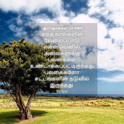 Picture 04 - 1 இராஜாக்கள் 7:28 TAMIRV - அந்த கால்களின் - Bible Verse Picture