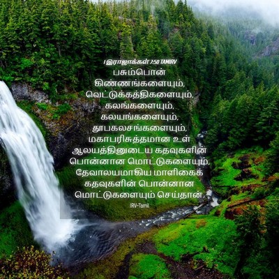 Picture 04 - 1 இராஜாக்கள் 7:50 TAMIRV - பசும்பொன் - Bible Verse Picture