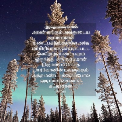 Picture 04 - 1 இராஜாக்கள் 7:8 TAMIRV - அவன் தங்கும் - Bible Verse Picture