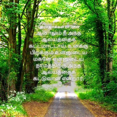 Picture 04 - 1 இராஜாக்கள் 8:19 TAMIRV - ஆனாலும் நீ அந்த - Bible Verse Picture