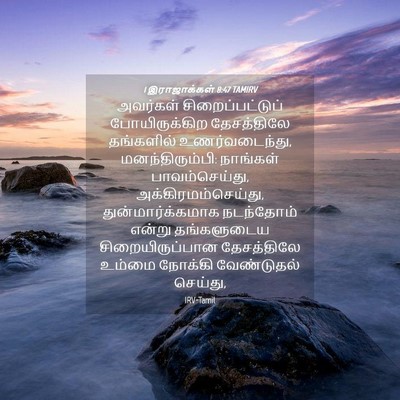 Picture 04 - 1 இராஜாக்கள் 8:47 TAMIRV - அவர்கள் - Bible Verse Picture