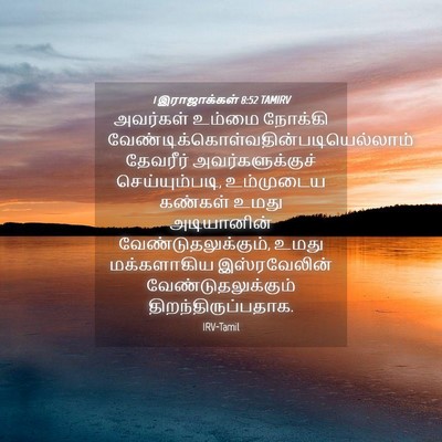 Picture 04 - 1 இராஜாக்கள் 8:52 TAMIRV - அவர்கள் உம்மை - Bible Verse Picture