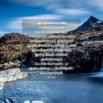 Picture 04 - 1 இராஜாக்கள் 8:63 TAMIRV - சாலொமோன் - Bible Verse Picture