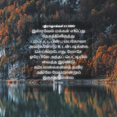 Picture 04 - 1 இராஜாக்கள் 8:9 TAMIRV - இஸ்ரவேல் மக்கள் - Bible Verse Picture