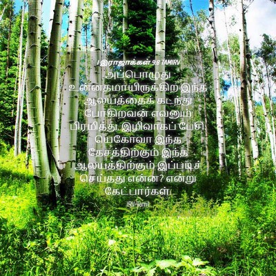 Picture 04 - 1 இராஜாக்கள் 9:8 TAMIRV - அப்பொழுது - Bible Verse Picture