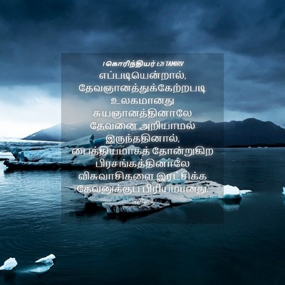 Picture 04 - 1 கொரிந்தியர் 1:21 TAMIRV - எப்படியென்றால், - Bible Verse Picture