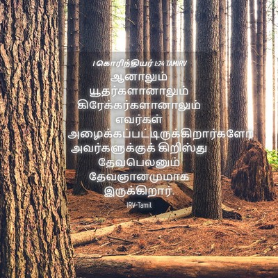 Picture 04 - 1 கொரிந்தியர் 1:24 TAMIRV - ஆனாலும் - Bible Verse Picture