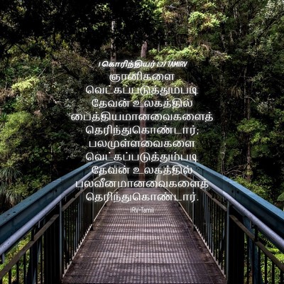 Picture 04 - 1 கொரிந்தியர் 1:27 TAMIRV - ஞானிகளை - Bible Verse Picture