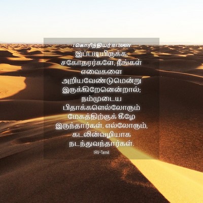 Picture 04 - 1 கொரிந்தியர் 10:1 TAMIRV - இப்படியிருக்க, - Bible Verse Picture