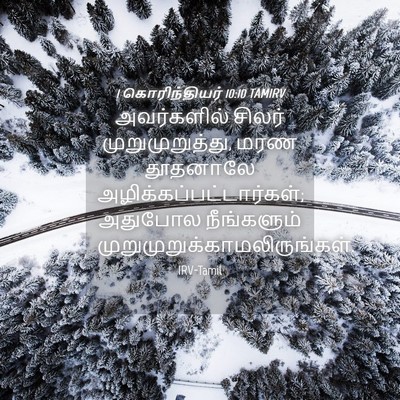 Picture 04 - 1 கொரிந்தியர் 10:10 TAMIRV - அவர்களில் சிலர் - Bible Verse Picture