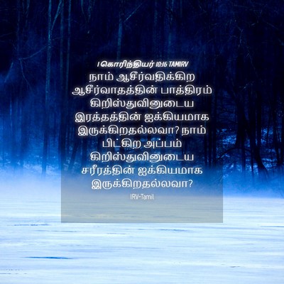 Picture 04 - 1 கொரிந்தியர் 10:16 TAMIRV - நாம் - Bible Verse Picture