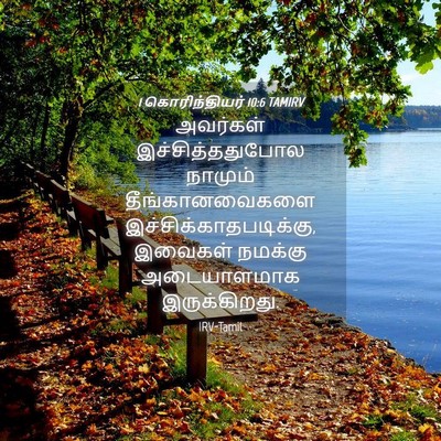 Picture 04 - 1 கொரிந்தியர் 10:6 TAMIRV - அவர்கள் - Bible Verse Picture