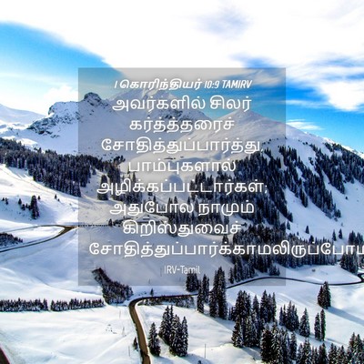 Picture 04 - 1 கொரிந்தியர் 10:9 TAMIRV - அவர்களில் சிலர் - Bible Verse Picture