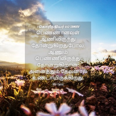 Picture 04 - 1 கொரிந்தியர் 11:12 TAMIRV - பெண்ணானவள் - Bible Verse Picture