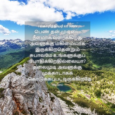Picture 04 - 1 கொரிந்தியர் 11:15 TAMIRV - பெண் தன் முடியை - Bible Verse Picture
