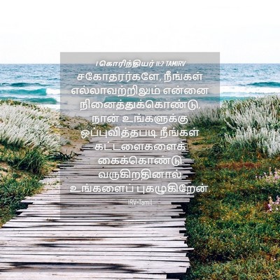 Picture 04 - 1 கொரிந்தியர் 11:2 TAMIRV - சகோதரர்களே, - Bible Verse Picture