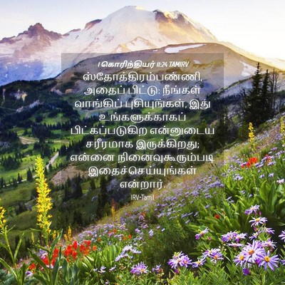 Picture 04 - 1 கொரிந்தியர் 11:24 TAMIRV - ஸ்தோத்திரம்பண்ணி, - Bible Verse Picture