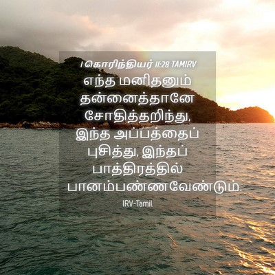 Picture 04 - 1 கொரிந்தியர் 11:28 TAMIRV - எந்த மனிதனும் - Bible Verse Picture