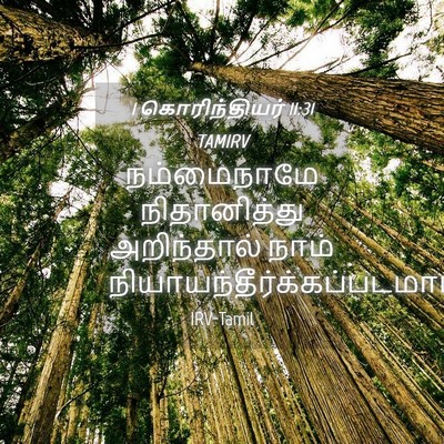 Picture 04 - 1 கொரிந்தியர் 11:31 TAMIRV - நம்மைநாமே - Bible Verse Picture