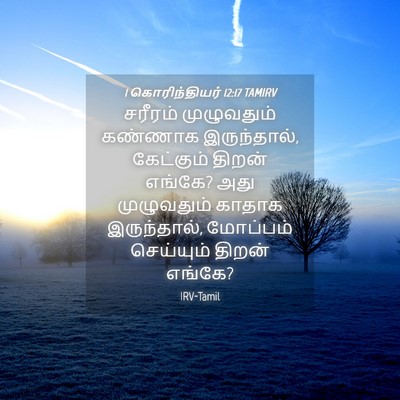 Picture 04 - 1 கொரிந்தியர் 12:17 TAMIRV - சரீரம் முழுவதும் - Bible Verse Picture