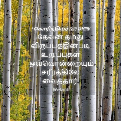 Picture 04 - 1 கொரிந்தியர் 12:18 TAMIRV - தேவன் தமது - Bible Verse Picture