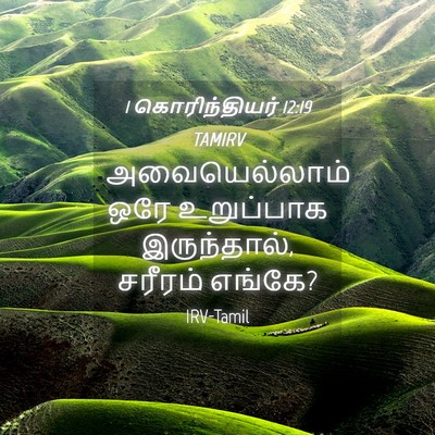 Picture 04 - 1 கொரிந்தியர் 12:19 TAMIRV - அவையெல்லாம் ஒரே - Bible Verse Picture