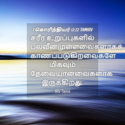 Picture 04 - 1 கொரிந்தியர் 12:22 TAMIRV - சரீர உறுப்புகளில் - Bible Verse Picture