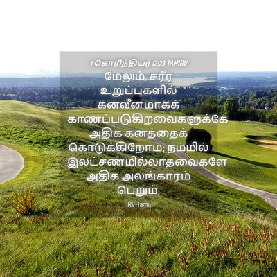 Picture 04 - 1 கொரிந்தியர் 12:23 TAMIRV - மேலும், சரீர - Bible Verse Picture
