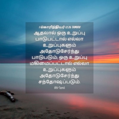 Picture 04 - 1 கொரிந்தியர் 12:26 TAMIRV - ஆதலால் ஒரு - Bible Verse Picture