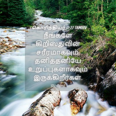 Picture 04 - 1 கொரிந்தியர் 12:27 TAMIRV - நீங்களே - Bible Verse Picture