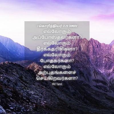 Picture 04 - 1 கொரிந்தியர் 12:29 TAMIRV - எல்லோரும் - Bible Verse Picture