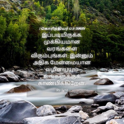 Picture 04 - 1 கொரிந்தியர் 12:31 TAMIRV - இப்படியிருக்க, - Bible Verse Picture
