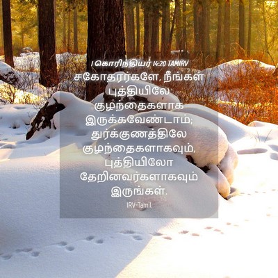 Picture 04 - 1 கொரிந்தியர் 14:20 TAMIRV - சகோதரர்களே, - Bible Verse Picture