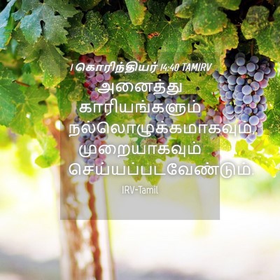 Picture 04 - 1 கொரிந்தியர் 14:40 TAMIRV - அனைத்து - Bible Verse Picture