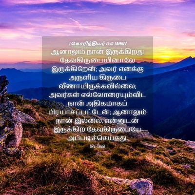 Picture 04 - 1 கொரிந்தியர் 15:10 TAMIRV - ஆனாலும் நான் - Bible Verse Picture