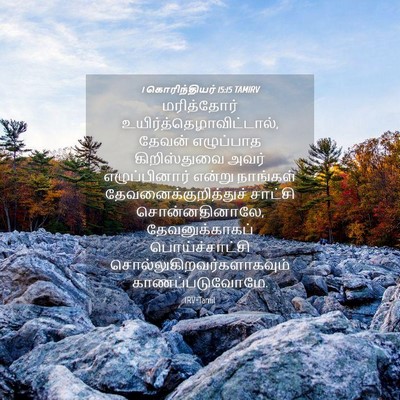 Picture 04 - 1 கொரிந்தியர் 15:15 TAMIRV - மரித்தோர் - Bible Verse Picture